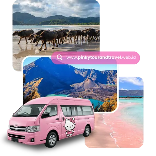 About Us Pinky Tour & Travel