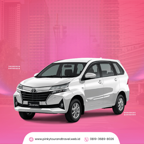 armada Pinky Tour & Travel (1)
